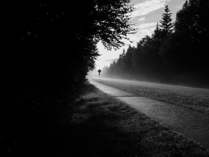 Illustration for article titled Photo Mission Gallery: Black and White